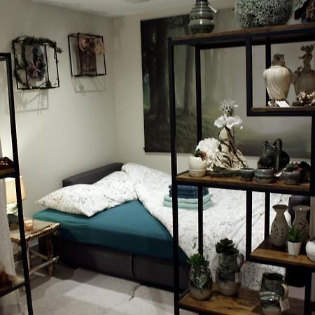 Bischoffsheim Cocon D'Argile Bed & Breakfast エクステリア 写真