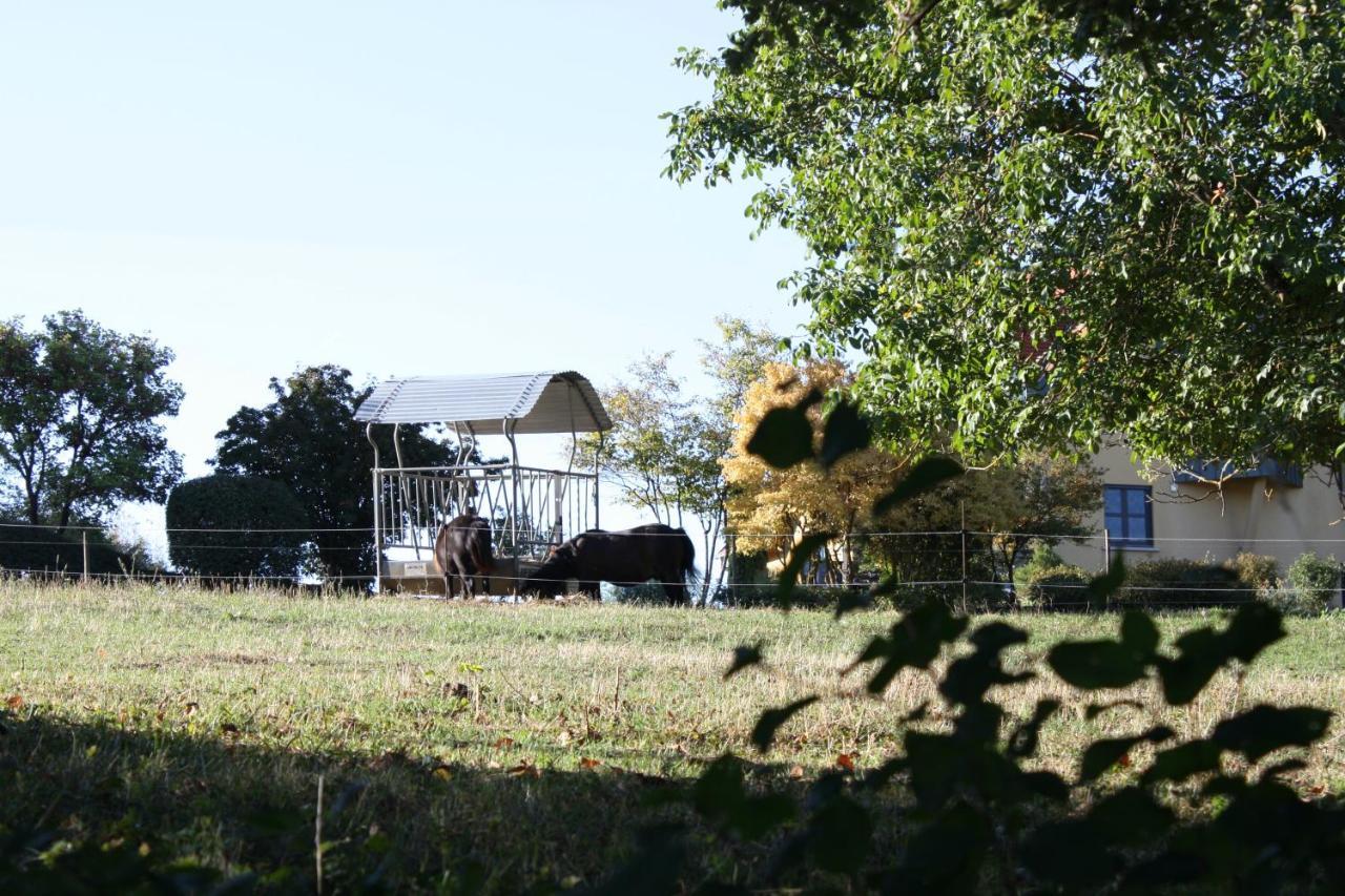 Bischoffsheim Cocon D'Argile Bed & Breakfast エクステリア 写真