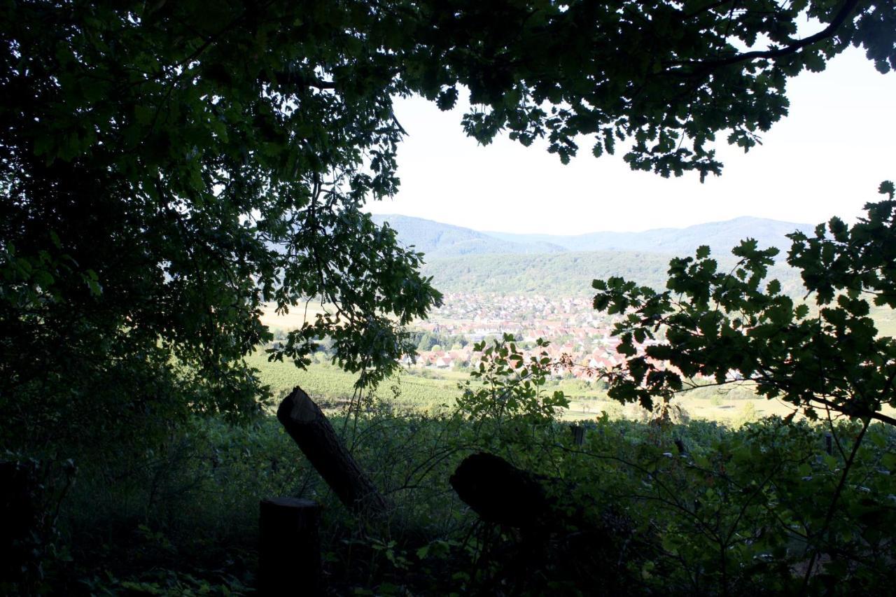 Bischoffsheim Cocon D'Argile Bed & Breakfast エクステリア 写真